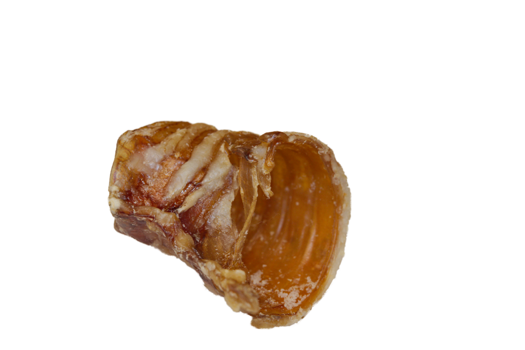 Heavenly Lil' Rippers Beef Trachea Dog Treats