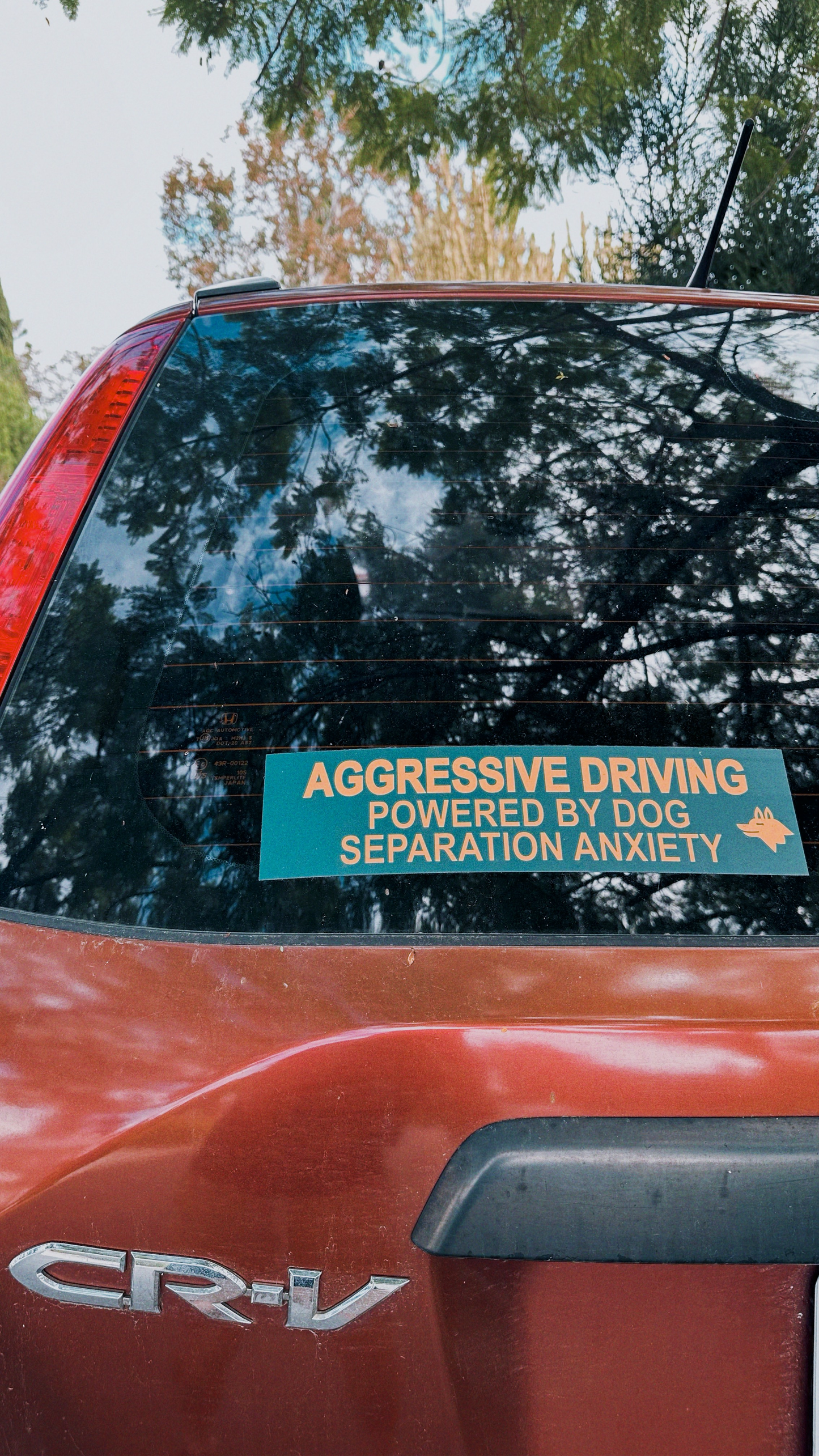 Aggressive Driving Bumper Sticker